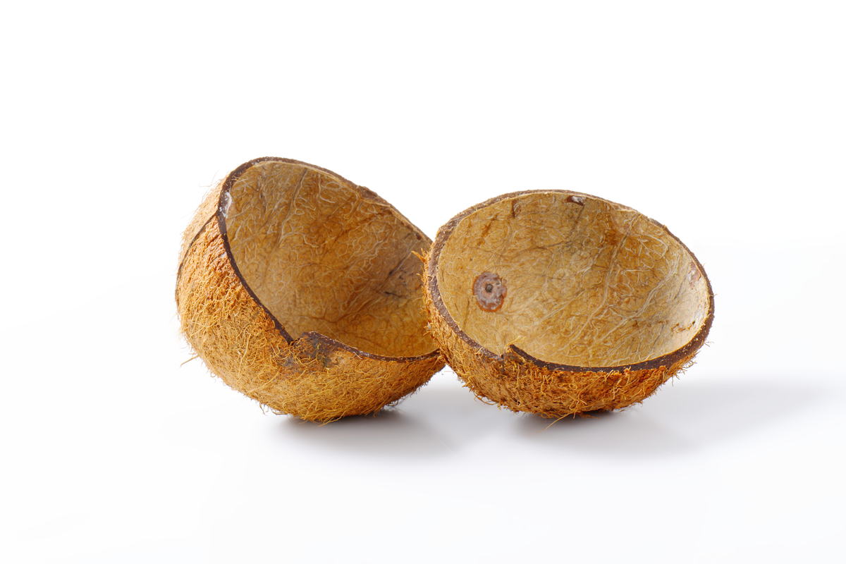 Batok kelapa minahasa tenggara indonesia